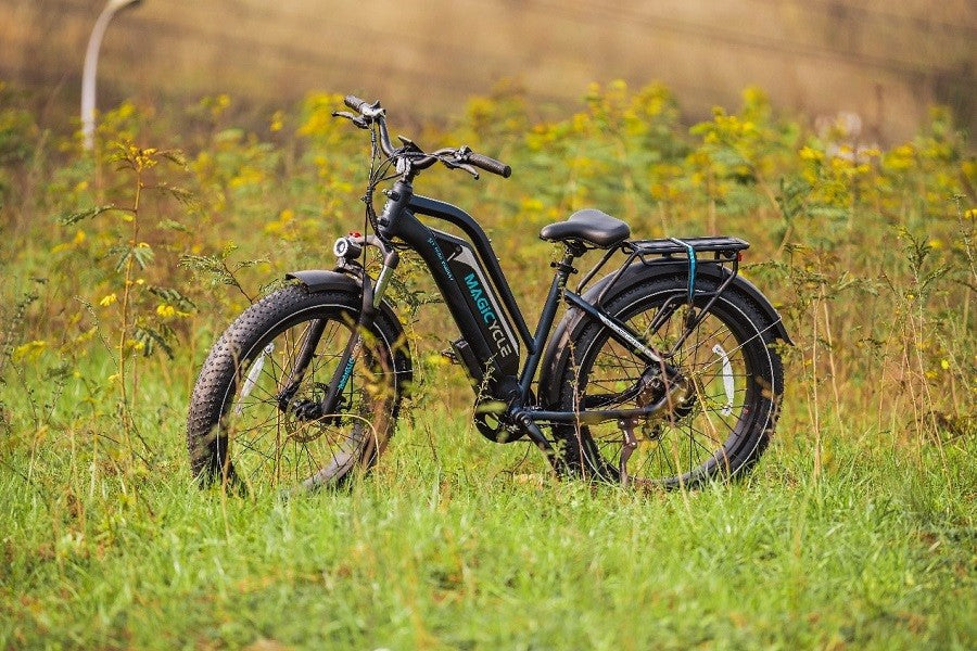 What Electric Bicycle Power Level do You Need? This Might Help You magicycle cruiser pro range
