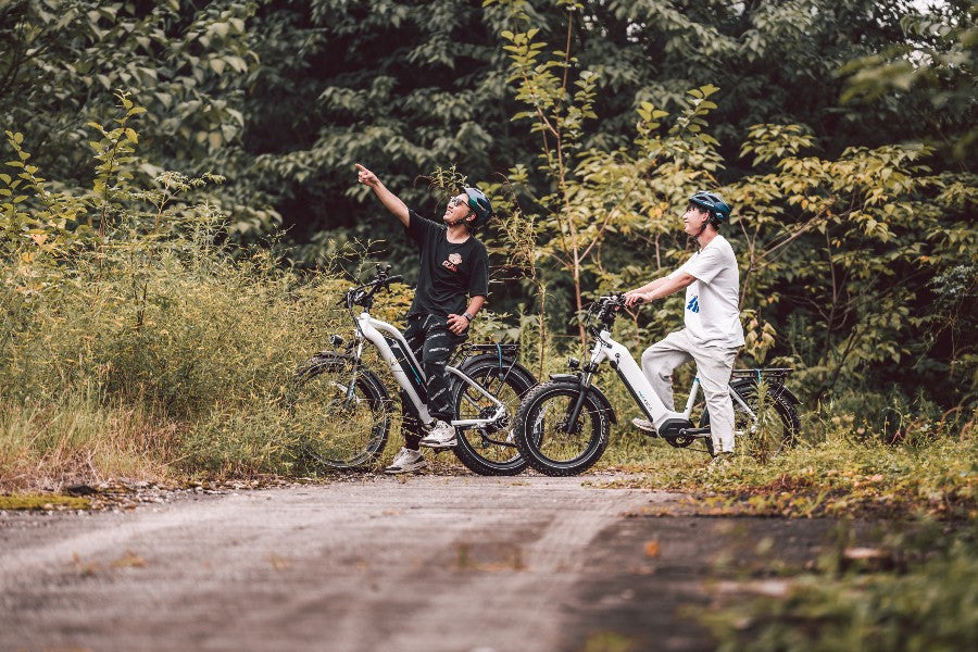 Long Range Electric Bikes — Magicycle Cruiser Pro and Ocelot Pro magicycle ocelot pro