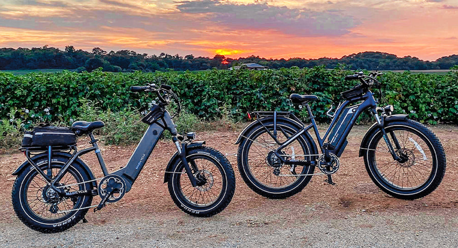 Top Nine Reasons to Love Your Electric Bikes electric bikes for adults