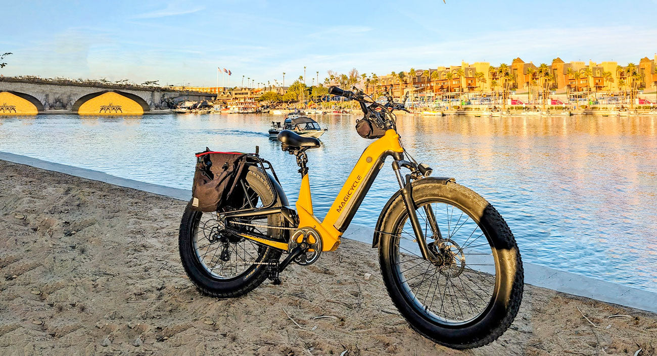 10 Ways to Get Your EBikes in Perfect Conditions This Spring Magiycle Deer electric bike