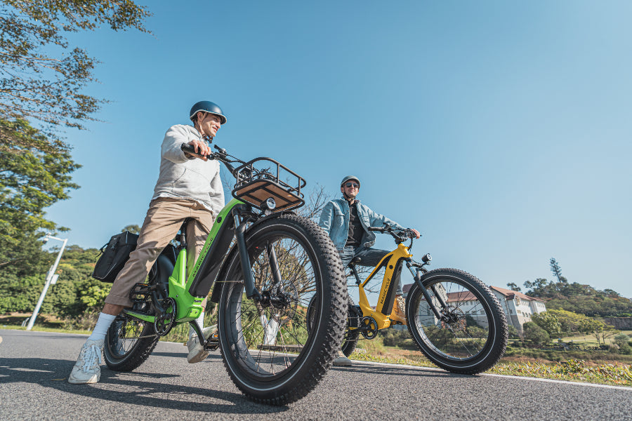 mountain ebike