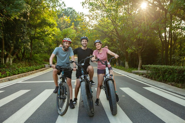 Best Affordable Fat Tire Electric Bike 2022 magicycle commuter