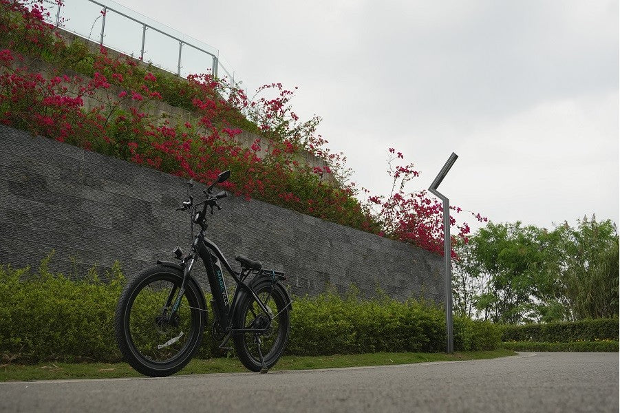 The Most Suitable Sports for the Elderly magicycle cruiser pro assembly