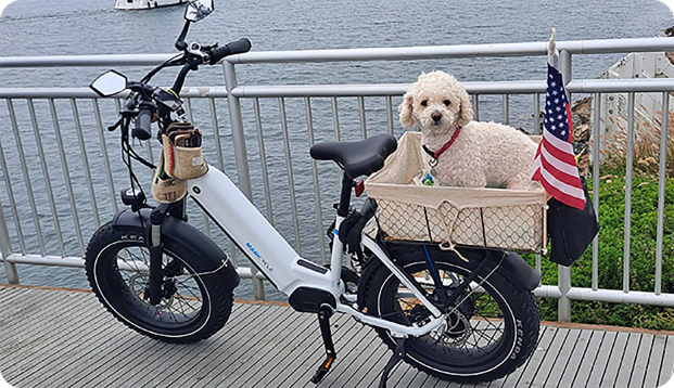 super 73 ebike