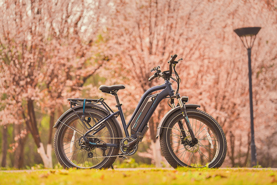 best ebikes