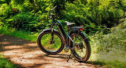 Riding an Ebike: Navigating Unexpected Situations Riding an Ebike: Navigating Unexpected Situations