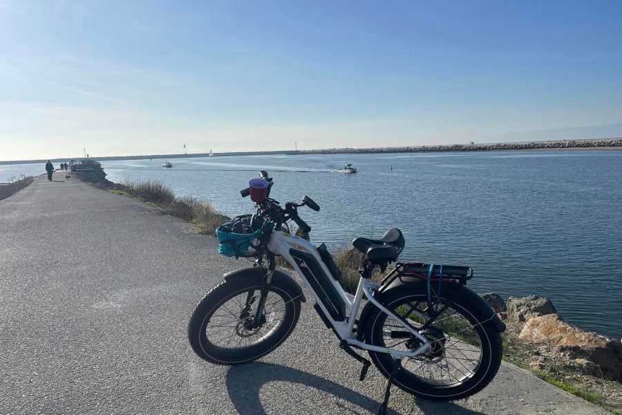 Are Full Suspension Ebikes Worth Buying? best ebikes 2023