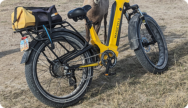 Lisa's Journey with Magicycle Deer aventon ebike