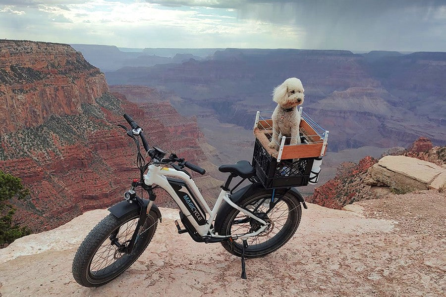 Electric bicycle accessories details
