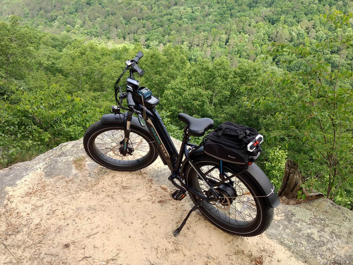What Is the Best Electric Bike for Hunting in 2022 ebikes near me