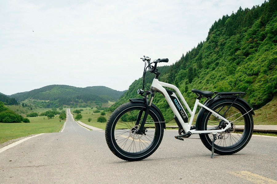 magicycle commuter