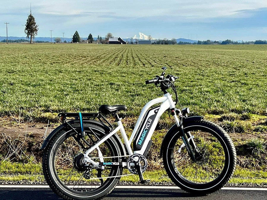 electric bikes for sale