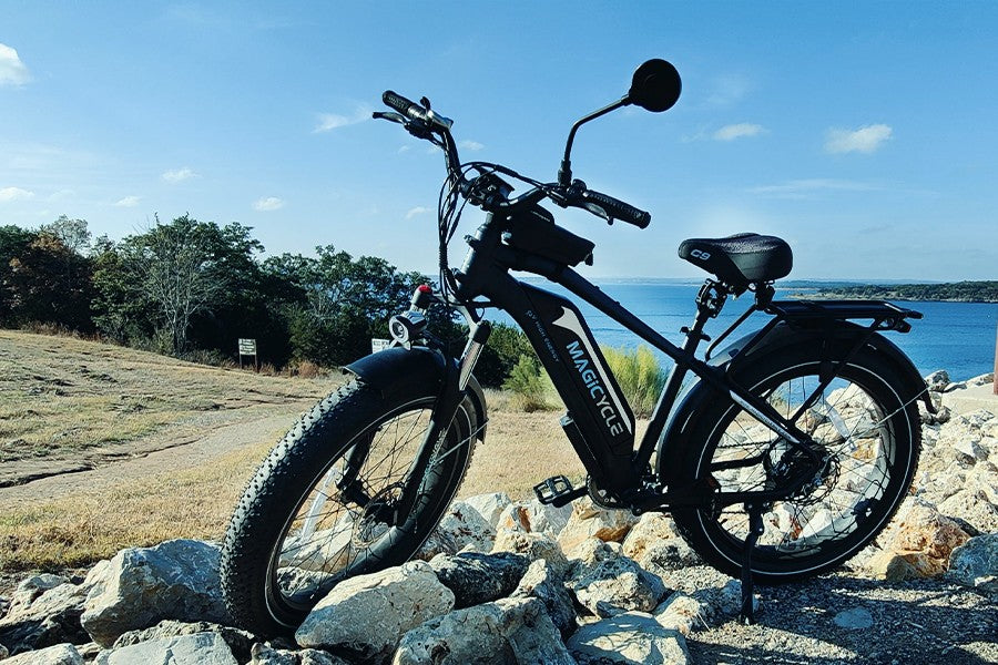 Torque Sensor ebike
