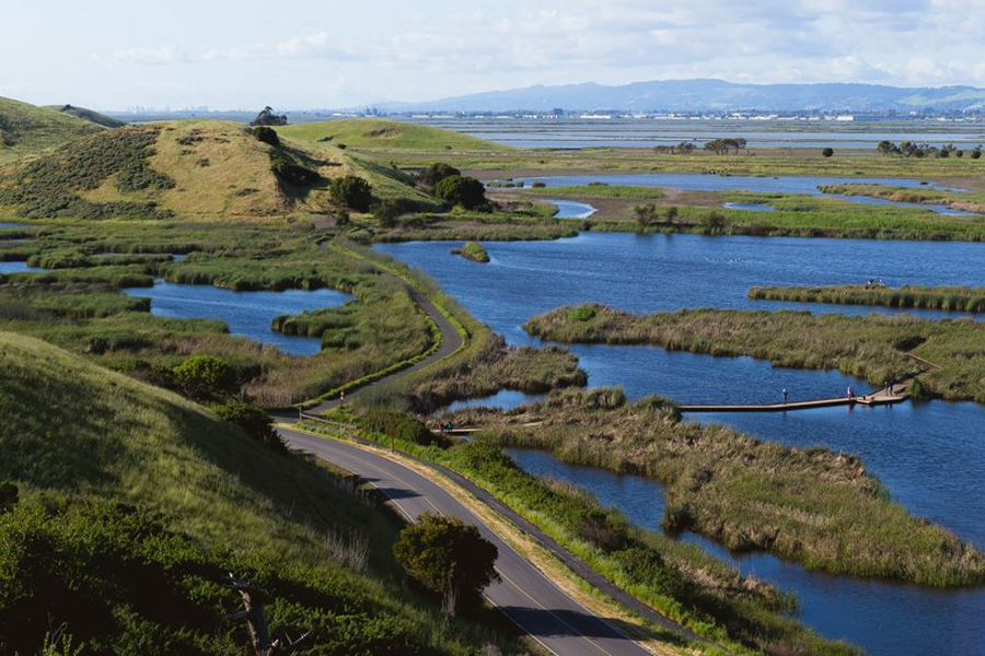 The 6 Cycling Bike Routes That Will Change How You See the Union City, California magicycle cruiser pro mid step-thru electric mountain bike