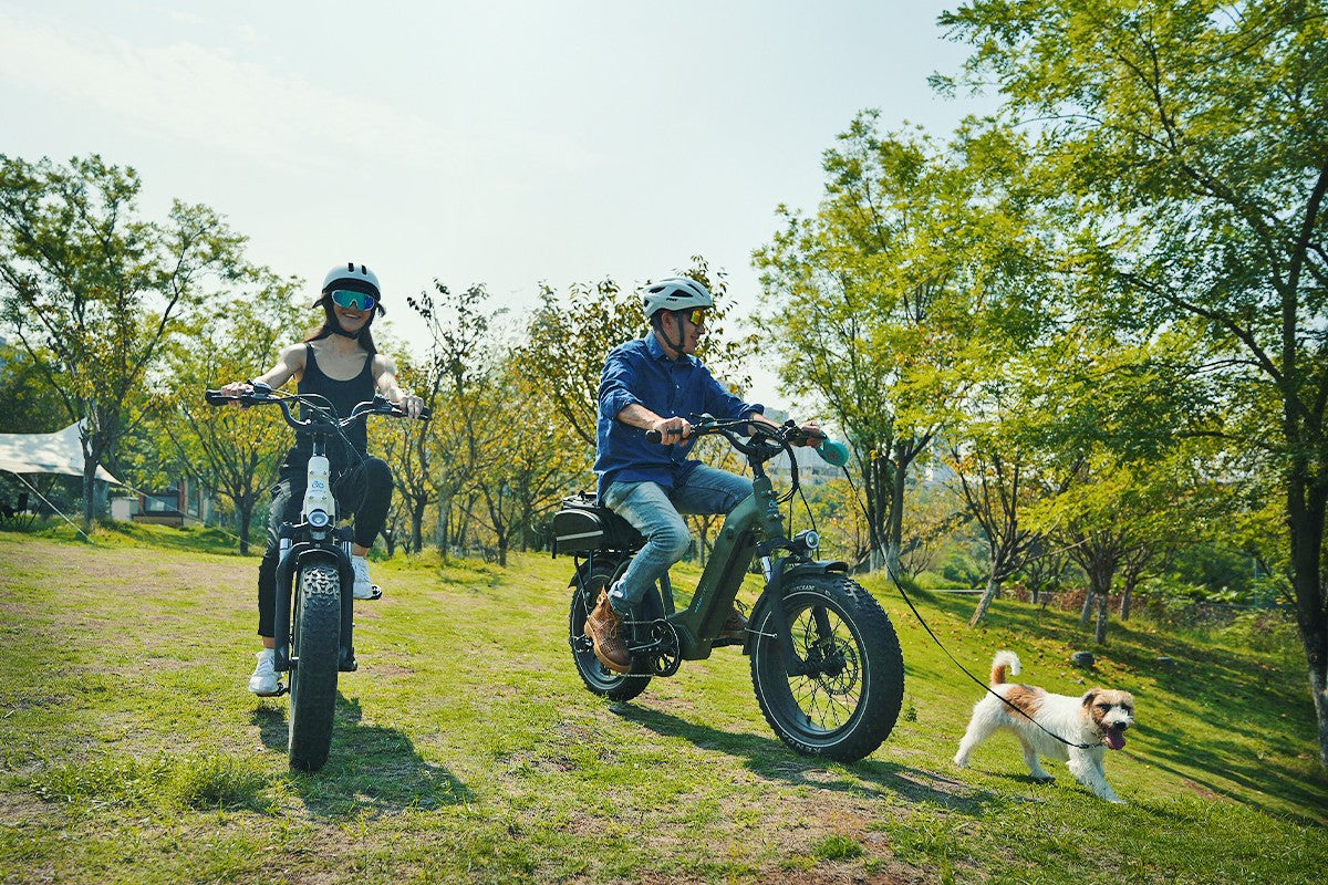 Ocelot Pro VS Radrunner Plus: What Are the Differences Between Them specialized ebike