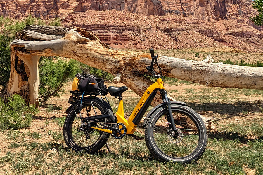 Can Ebikes be Used Off-Road? Can Ebikes be Used Off-Road?