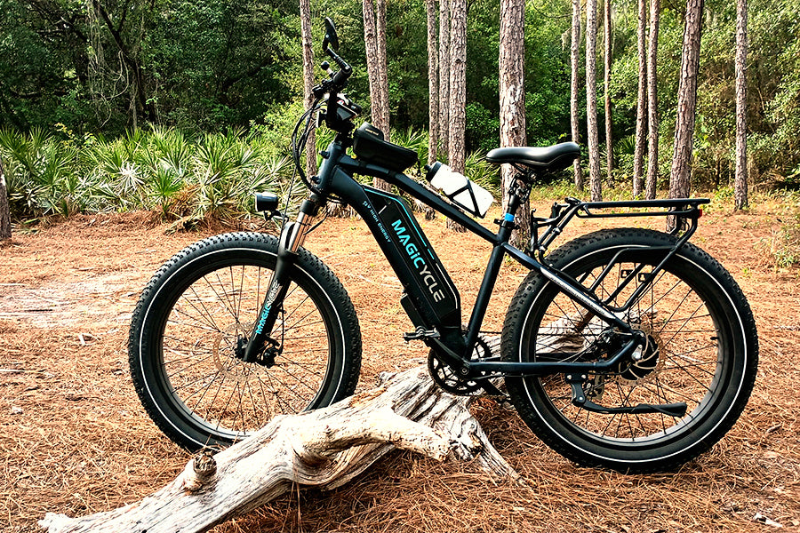 Magicycle fat tire cruiser