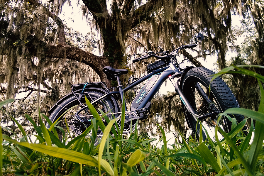 Electric bicycle accessories details