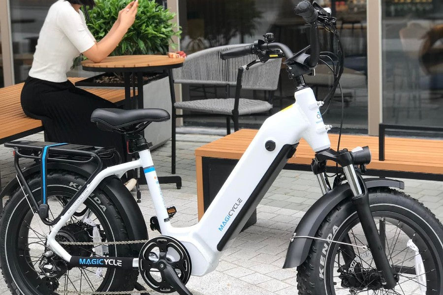 Aluminum Frame Ebikes, What Are the Advantages? magicycle ocelot pro