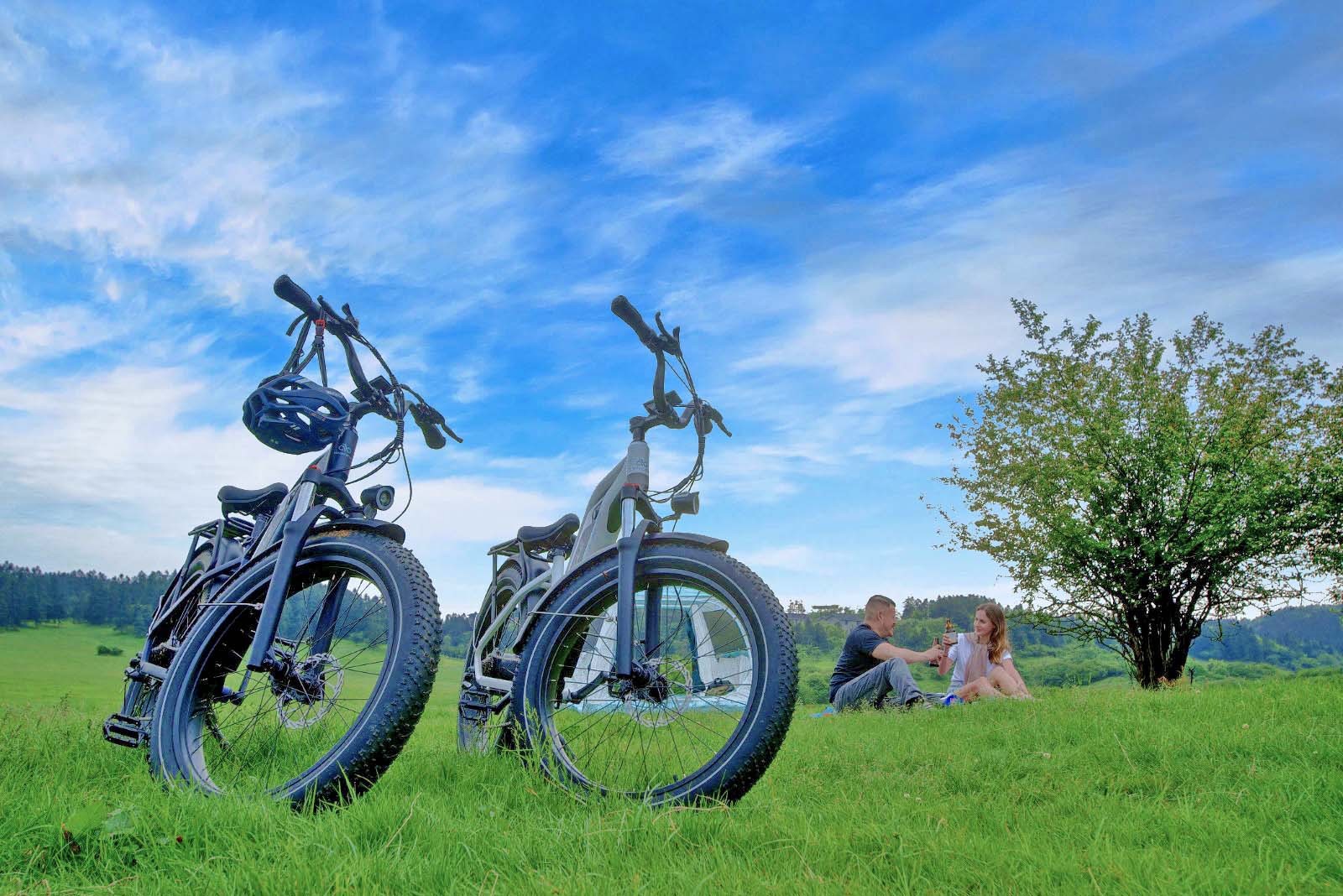 Magicycle VS Rad Power RadRover 6 plus Picnic with magicycle