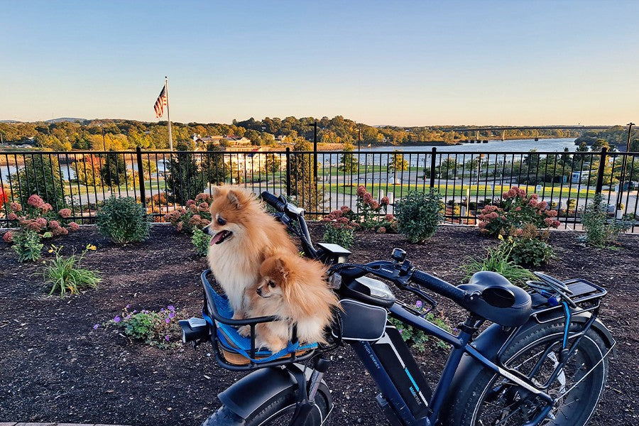Electric Bike Speed: How Fast Can You Really Go on ebikes? ebike for sale