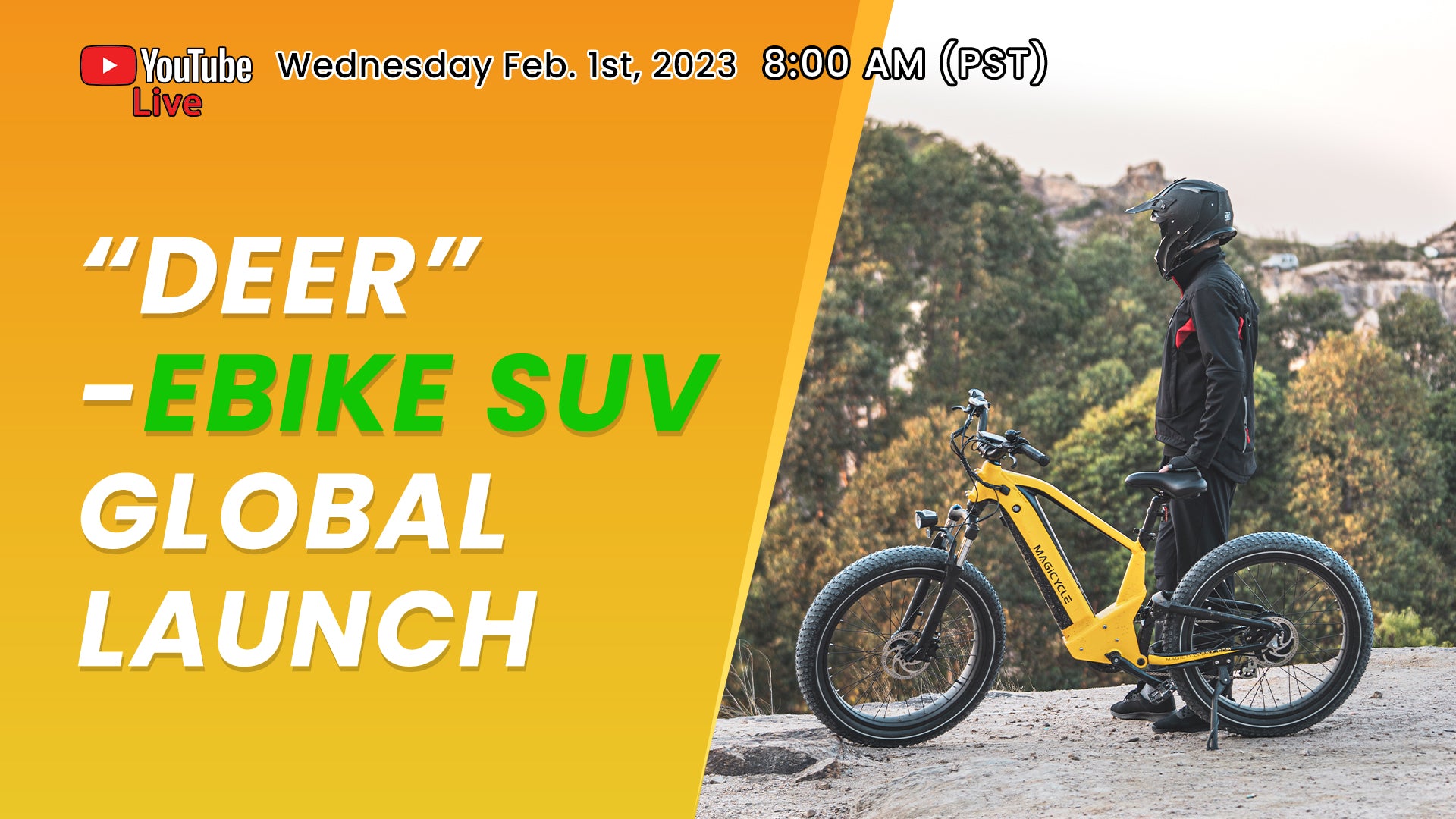 electric bikes for adults