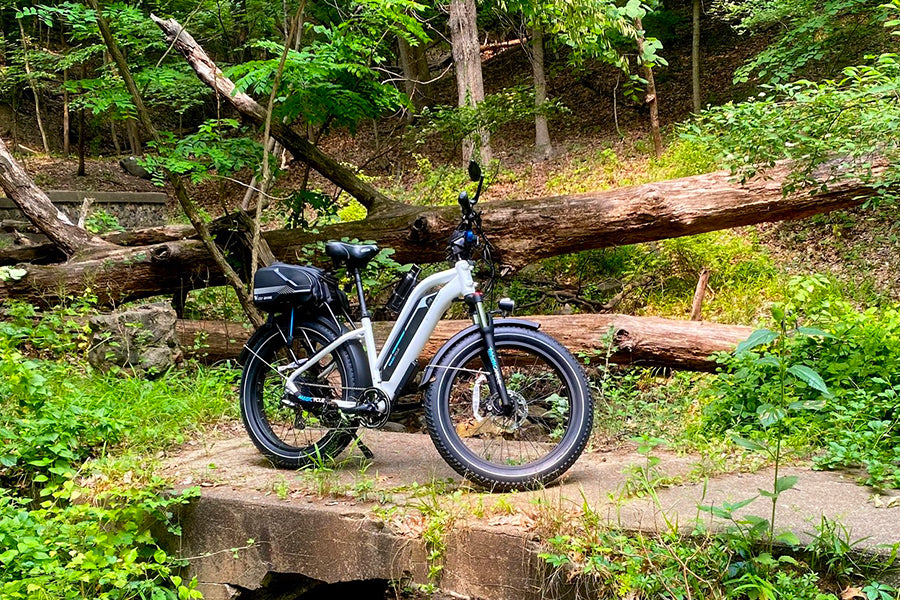 electric bike cruiser