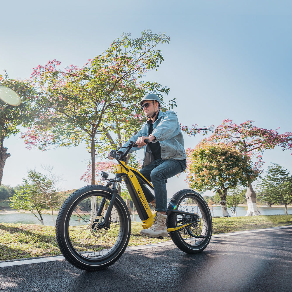 best ebikes 2023