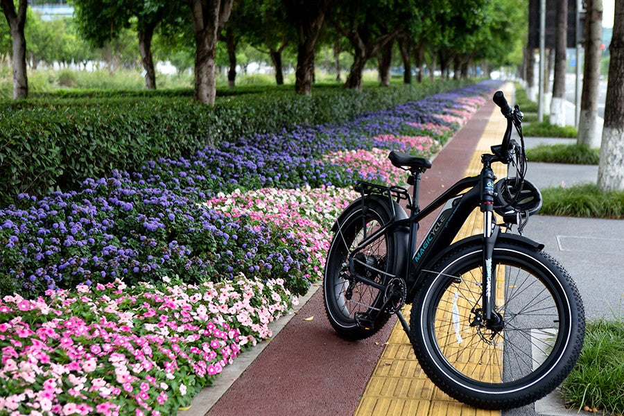 ebike vs normal bike