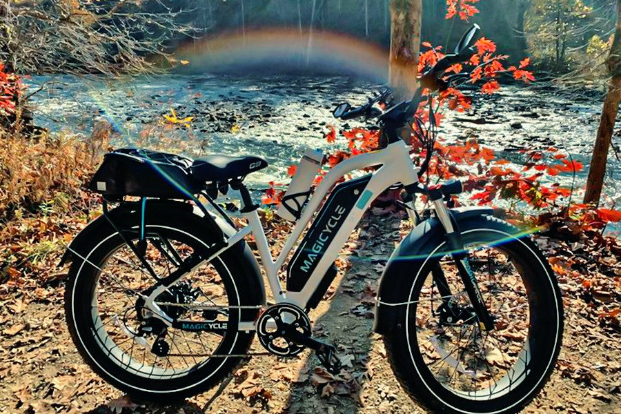 EMTB Buying Guide: Should I Own an EMTB? specialized ebike