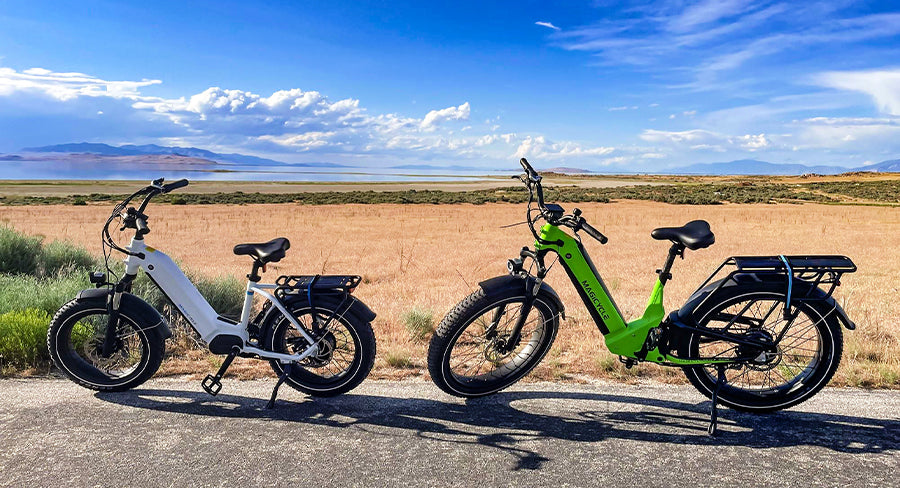 How Much Are Electric Mountain Bikes? affordable emtbs - Magicycle ebike