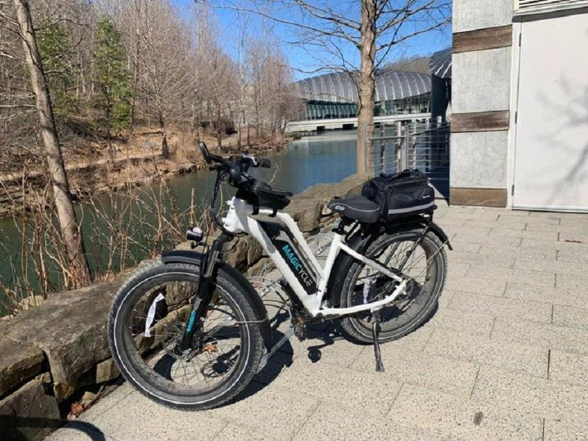 Fat-Tire Series (3) Electric Hunting Bike, Best Substitute for ATV magicycle bike reviews