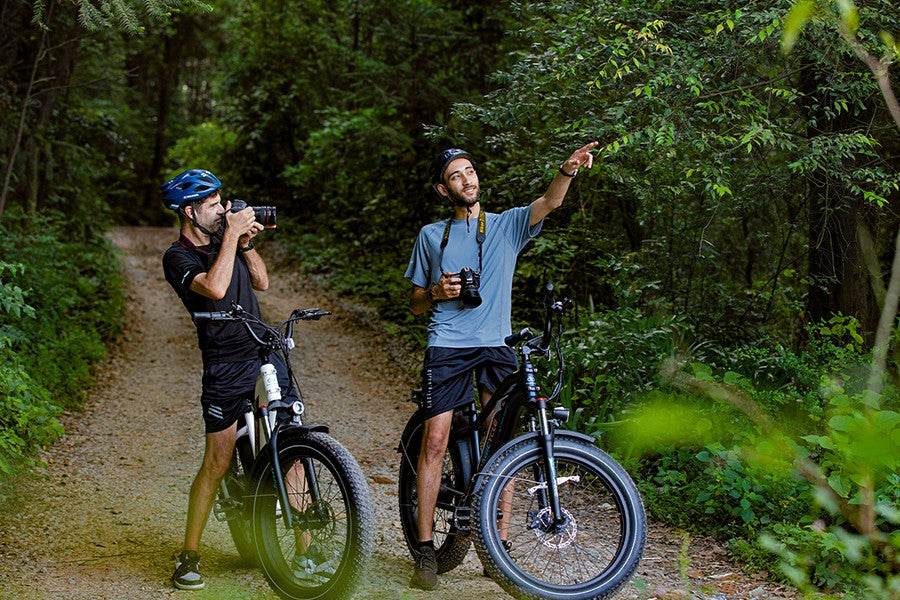 What are Watts for? To an Electric Bike magicycle commuter