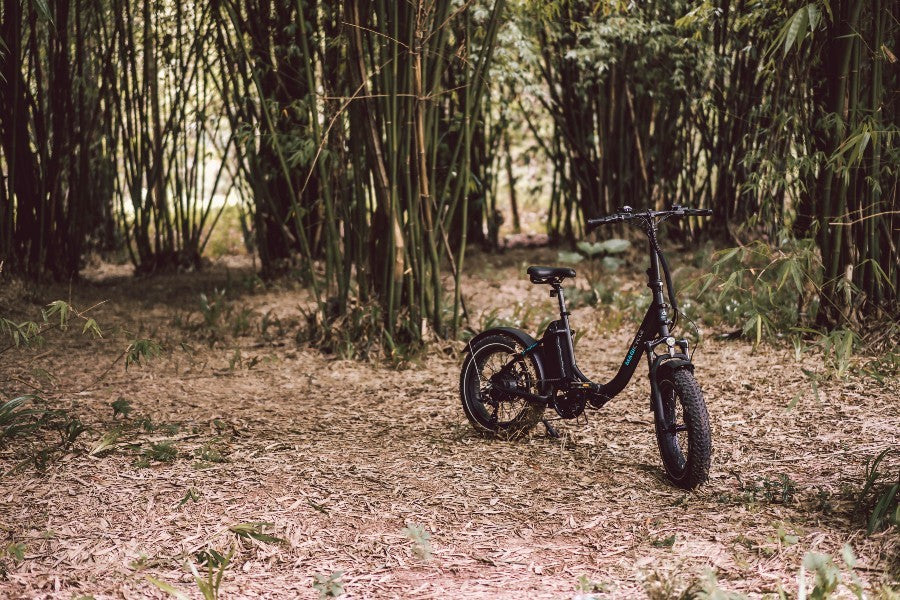 folding Ebikes