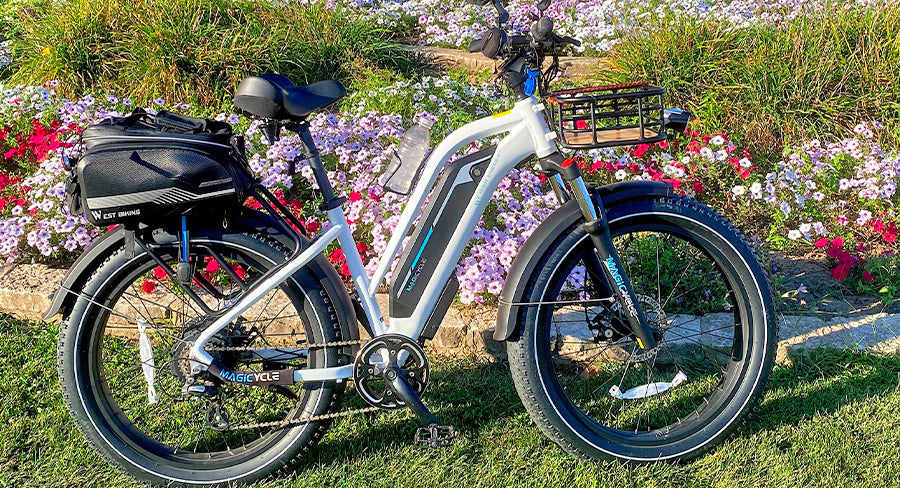 How Fast Does a 1000W Top Speed Electric Bike Go? top speed electric bikes for magicycle ebike