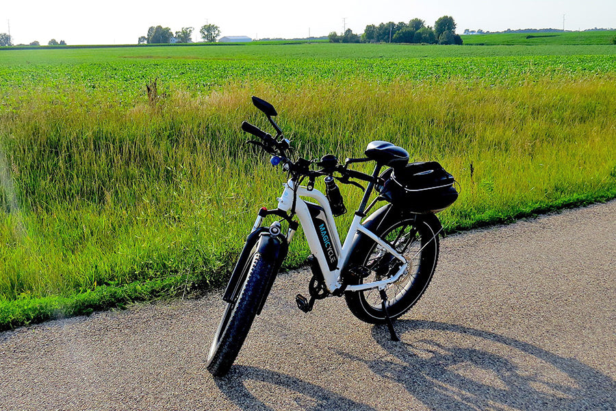 Why Not Buy Your Ebikes in the Supermarket? cruiser electric bike