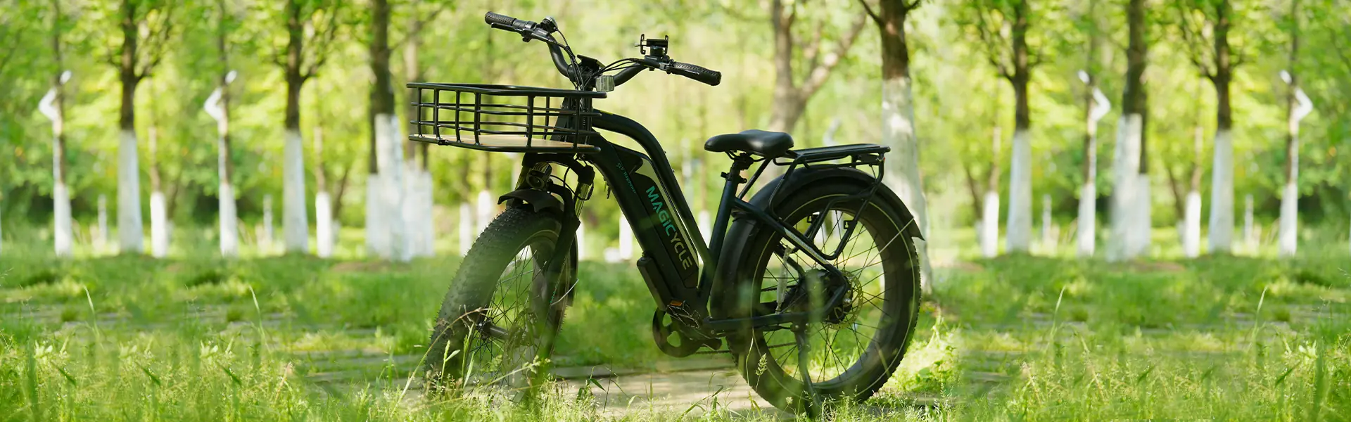 folding ebike