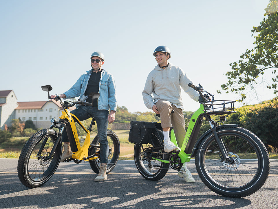 Electric bikes mirror