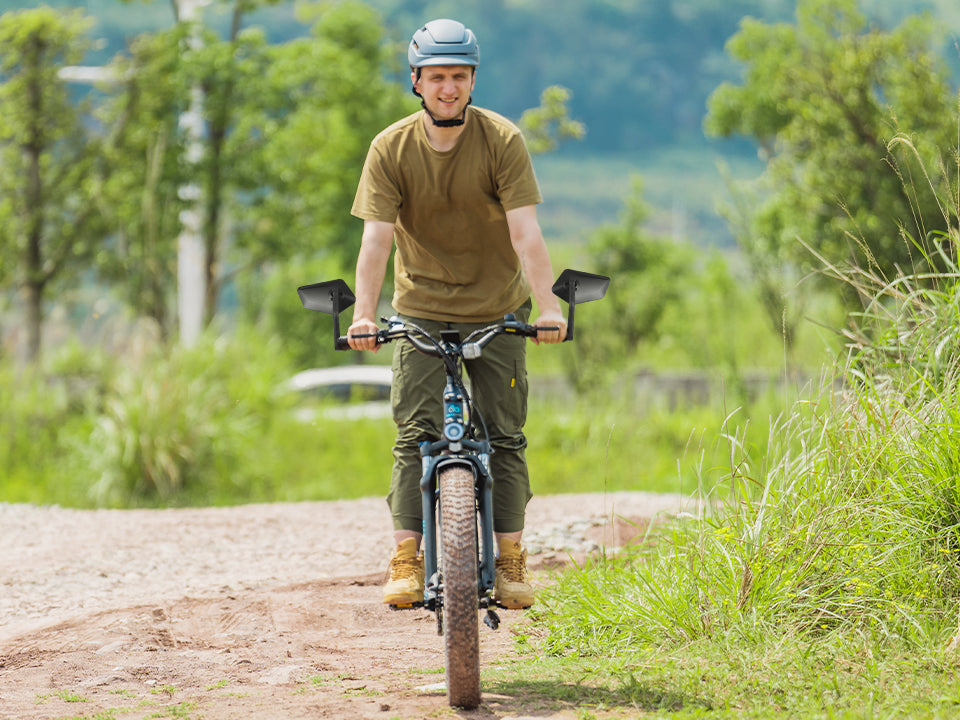 Electric bikes mirror