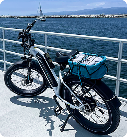 electric bikes cruiser for adults