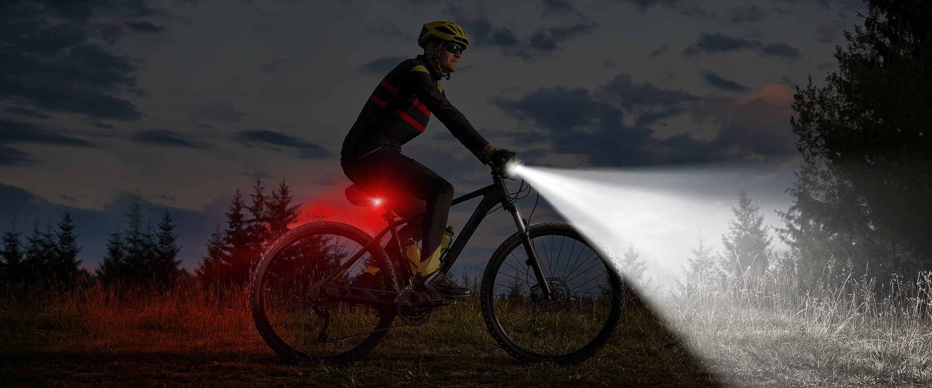 electric bike magicycle