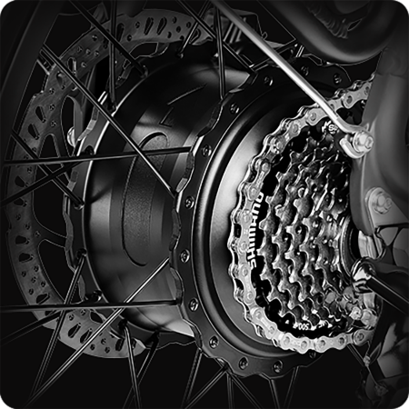 1500W 100Nm Motor