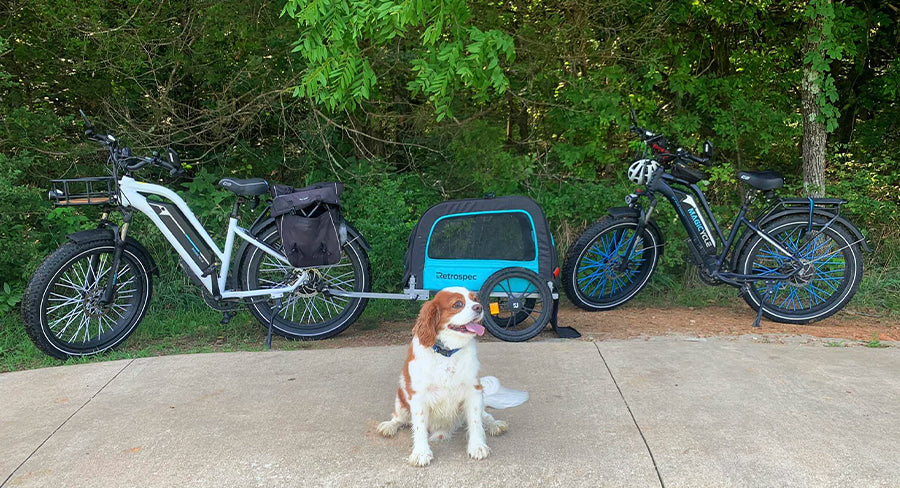 electric bikes with trailer