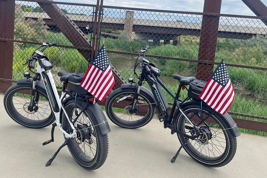 Free Trail - electric bikes for adults 