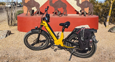 pedal electric bike