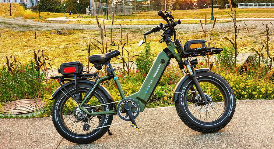 electric bikes with hydraulic disc brakes