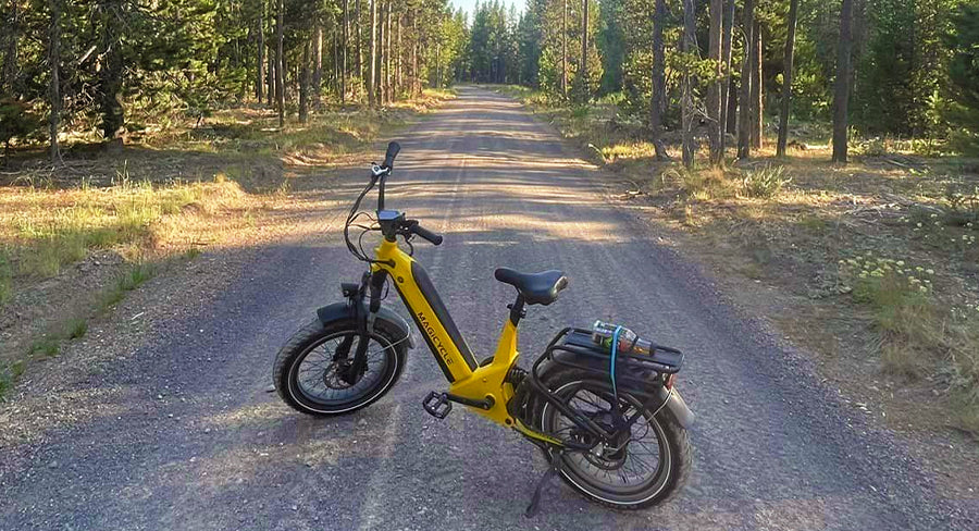 best ebike for heavy riders