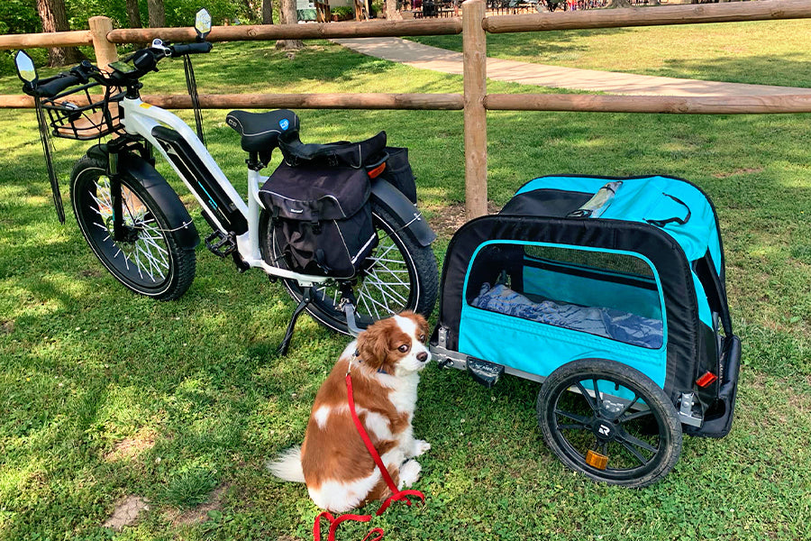 Camping with ebikes and pets