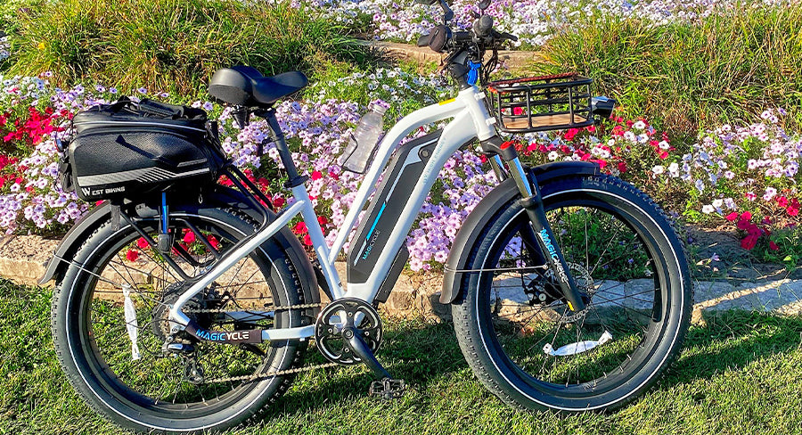 top speed electric bikes for magicycle ebike