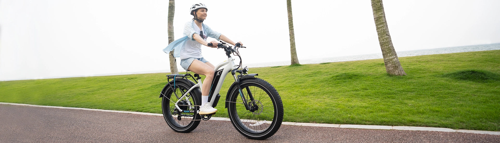 All Terrain Electric Bikes Cruiser for Seniors